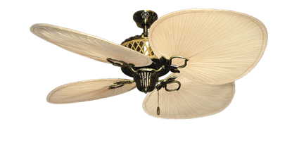 Palm Bay Antique Brass with 54" Natural Palm Blades